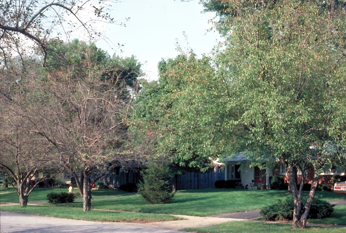 Image2